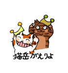 帽子猫参上（個別スタンプ：5）