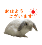 るーくんとかるくん2（個別スタンプ：1）