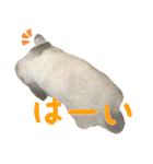 るーくんとかるくん2（個別スタンプ：5）