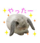 るーくんとかるくん2（個別スタンプ：9）