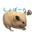 るーくんとかるくん2（個別スタンプ：10）