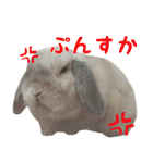 るーくんとかるくん2（個別スタンプ：11）
