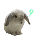 るーくんとかるくん2（個別スタンプ：12）