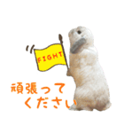 るーくんとかるくん2（個別スタンプ：16）