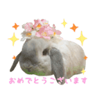 るーくんとかるくん2（個別スタンプ：17）