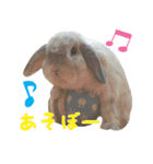 るーくんとかるくん2（個別スタンプ：18）
