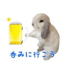 るーくんとかるくん2（個別スタンプ：19）