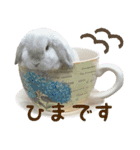 るーくんとかるくん2（個別スタンプ：20）