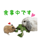 るーくんとかるくん2（個別スタンプ：23）