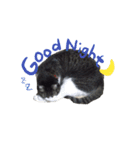 デジ（個別スタンプ：2）