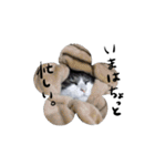 デジ（個別スタンプ：8）