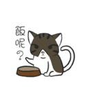 stray cat Fei Fei（個別スタンプ：1）