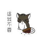 stray cat Fei Fei（個別スタンプ：2）