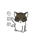 stray cat Fei Fei（個別スタンプ：3）