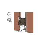 stray cat Fei Fei（個別スタンプ：4）