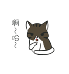 stray cat Fei Fei（個別スタンプ：6）