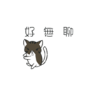 stray cat Fei Fei（個別スタンプ：8）