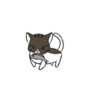 stray cat Fei Fei（個別スタンプ：13）