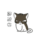 stray cat Fei Fei（個別スタンプ：14）