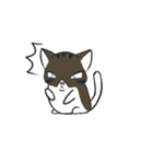 stray cat Fei Fei（個別スタンプ：15）