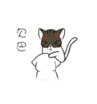 stray cat Fei Fei（個別スタンプ：16）