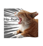 Fat Cat Save World(Ver. English)（個別スタンプ：3）