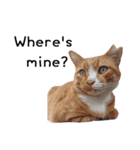 Fat Cat Save World(Ver. English)（個別スタンプ：10）