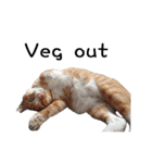 Fat Cat Save World(Ver. English)（個別スタンプ：14）