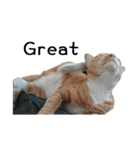 Fat Cat Save World(Ver. English)（個別スタンプ：16）