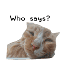 Fat Cat Save World(Ver. English)（個別スタンプ：17）
