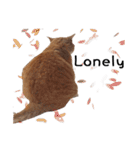 Fat Cat Save World(Ver. English)（個別スタンプ：19）