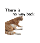 Fat Cat Save World(Ver. English)（個別スタンプ：28）