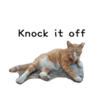 Fat Cat Save World(Ver. English)（個別スタンプ：29）
