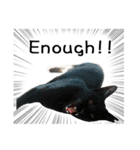 Fat Cat Save World(Ver. English)（個別スタンプ：37）