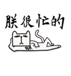 The King of Cat（個別スタンプ：14）