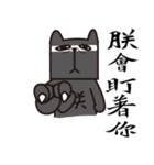 The King of Cat（個別スタンプ：15）