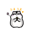 じゃんはむはむんぷ（個別スタンプ：1）