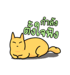 Meaw Ngarl（個別スタンプ：3）