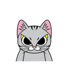猫空手 キッド（個別スタンプ：1）