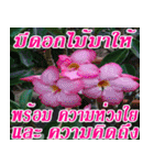 There is encouragement to everyone V.2（個別スタンプ：11）