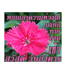 There is encouragement to everyone V.2（個別スタンプ：12）