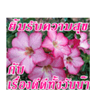 There is encouragement to everyone V.2（個別スタンプ：13）