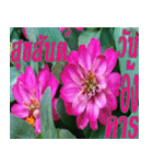 There is encouragement to everyone V.2（個別スタンプ：14）