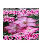 There is encouragement to everyone V.2（個別スタンプ：15）