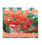 There is encouragement to everyone V.2（個別スタンプ：24）