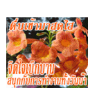 There is encouragement to everyone V.2（個別スタンプ：26）