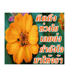 There is encouragement to everyone V.2（個別スタンプ：27）