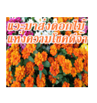 There is encouragement to everyone V.2（個別スタンプ：30）