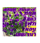 There is encouragement to everyone V.2（個別スタンプ：31）