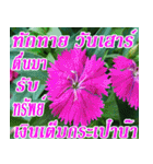 There is encouragement to everyone V.2（個別スタンプ：33）